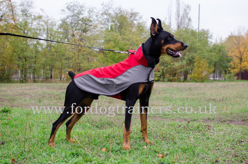 Waterproof Dog Coat for Doberman Walking - Click Image to Close