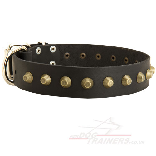 Strong Wide Dog Collar for Dog Style with Brass Pyramids