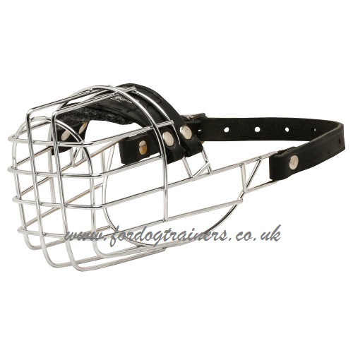 Basket Dog Muzzle for Basset Hound - Most Humane Dog Muzzle