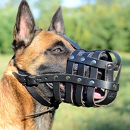 Soft & Light Leather Basket Dog Muzzle for Belgian Malinois