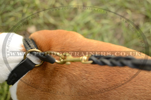 Dog Slip Collar