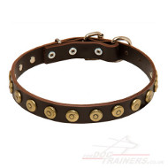 leather dog collar for puppy