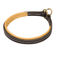 Leather Dog Collar Soft Padded | Dog Choke Collar