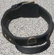 Training Dog Collar with Handle