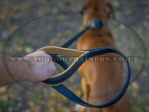 Leather Dog Leash with Padded Handle