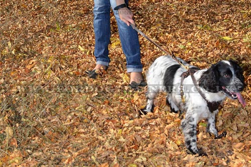 leather dog tracking harness UK
