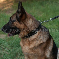 Best Spiked Dog Collar for German Shepherd 1 1/2 inch (40 mm)