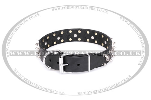 leather pirate dog collar FDT Artisan