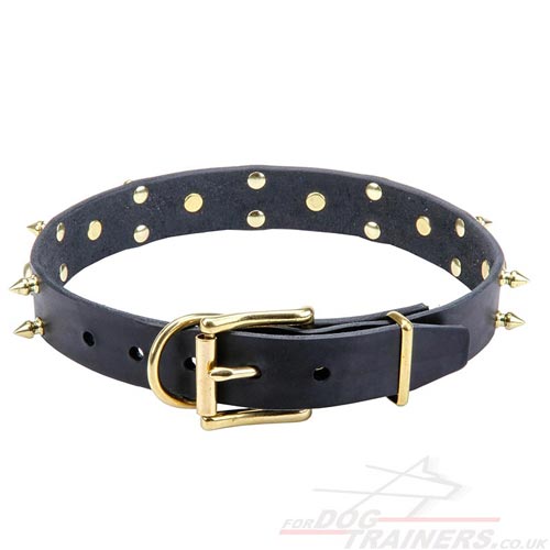 Leather Studded Dog Collar