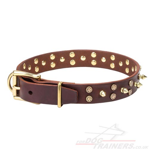 Leather Studded Dog Collars
