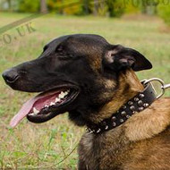 Spiked Dog Collars for Belgian Shepherd Malinois â˜…