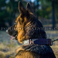 Elegant German Shepherd Leather Dog Collar