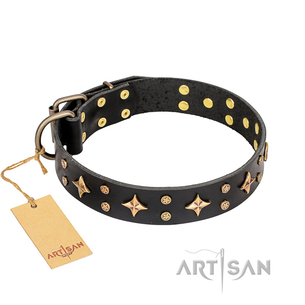 Buy Brass Studded Dog Fashion Collar UK