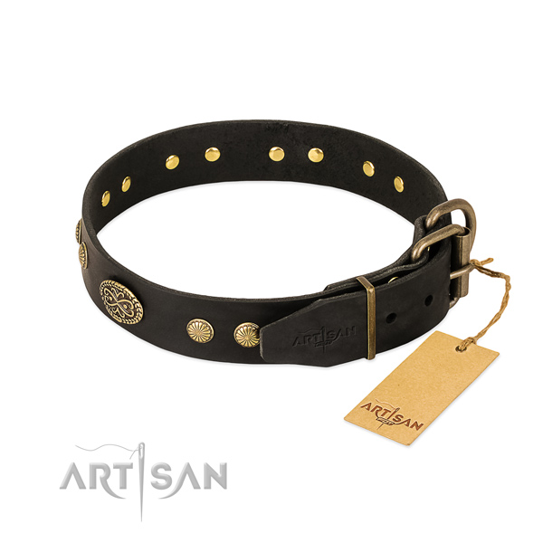 Glamorous Dog Collar with Buckle