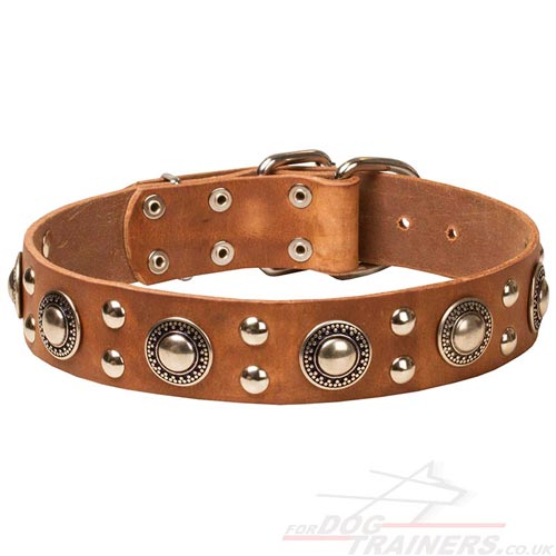 Luxury Leather Dog Collars