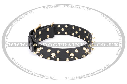 dog collar with skull from Artisan