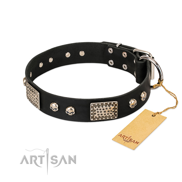 Masculine Dog Collar Designs