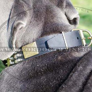 Mastiff Dog Collar for Sale | Mastino Napoletano Dog Collar