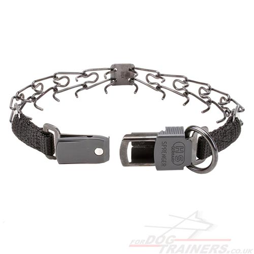 Dog Collar with Buckle