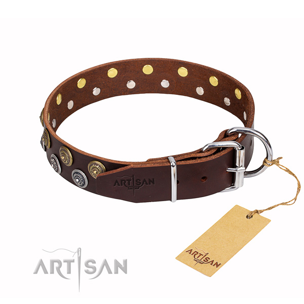 Dog Buckle Collar