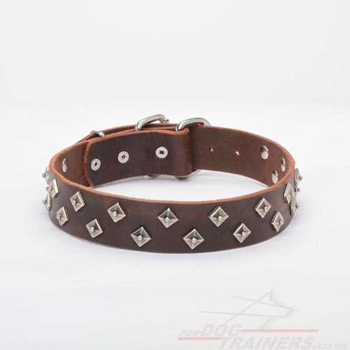 fancy dog collar