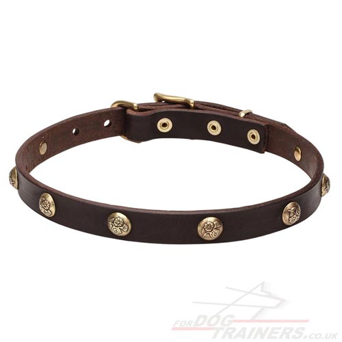 Girly Dog Collar