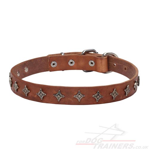 Cool Dog Collar UK