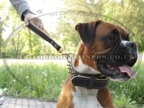 Short Dog Lead Handle Padded