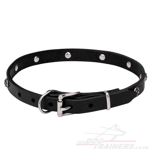 Handmade Dog Collars UK