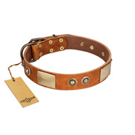Brass Studded Leather Dog Collar by Artisan "Smart Beauty" Brass Studded Leather Dog Collar by Artisan "Smart Beauty"