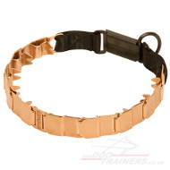 dog prong collar