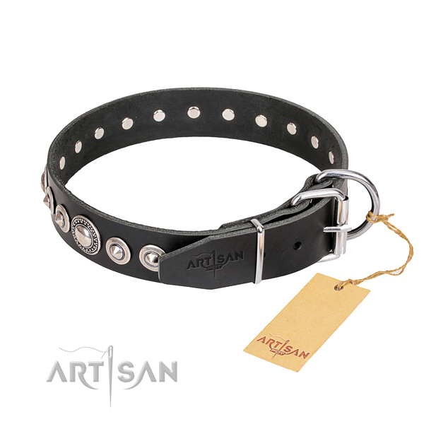 Dog Buckle Collar