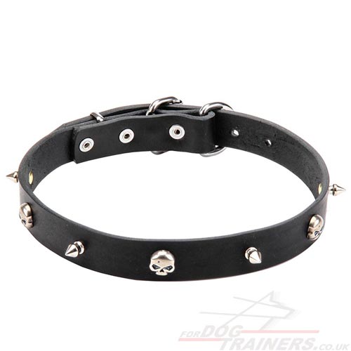 1 inch dog collar