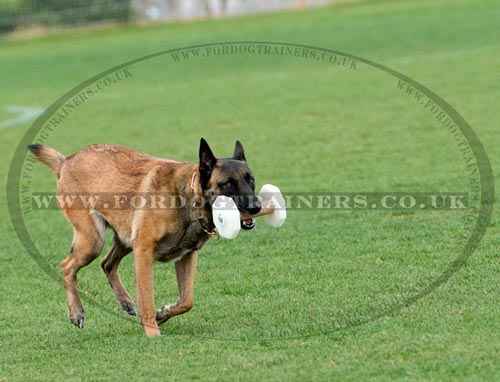 Obedience Dumbbells for Dog Training