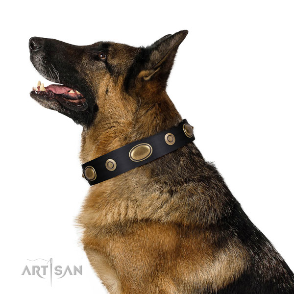 Antique Dog Collar for German Shepherd