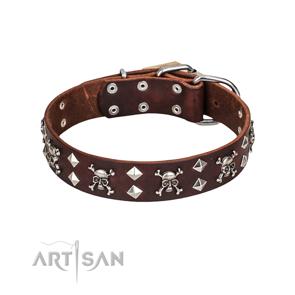 Luxury Dog Collar Designs