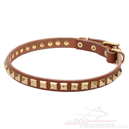 Natural Leather Dog Collar