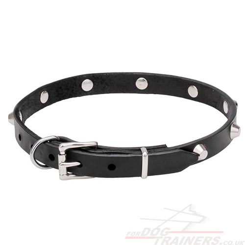 Leather Dog Collars for small dogs