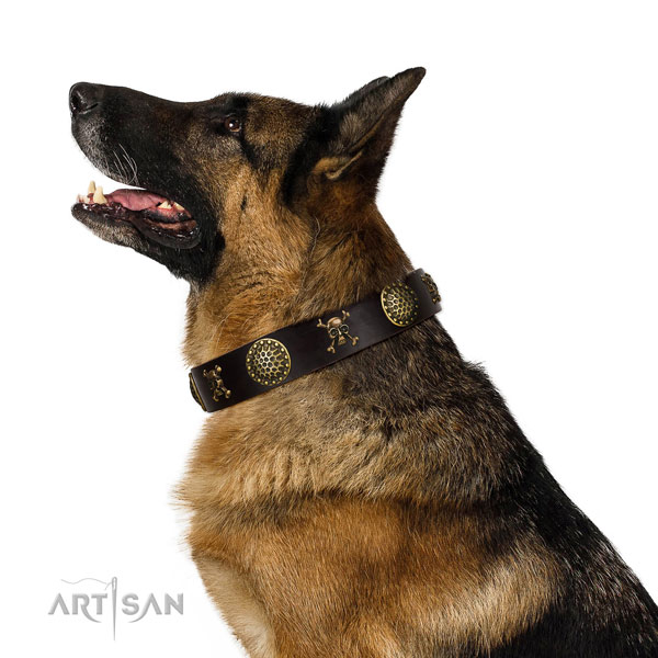 Buy Pirate Themed Dog Collar for Amstaff