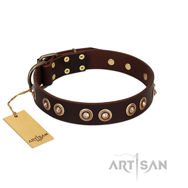 Brown Leather Dog Collar with Brass