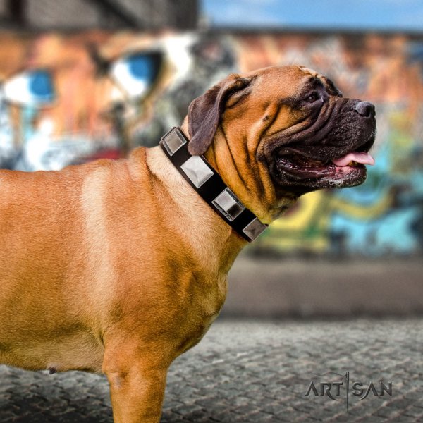 Brown Studded Dog Collar For Bullmastiff