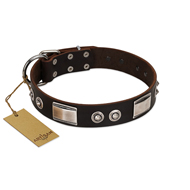 Dark Brown Leather Dog Collar with Studs Elegant Dandy Artisan