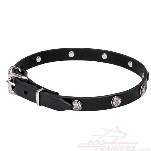 Pretty Dog Collars UK