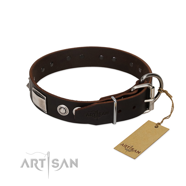 Studded Dog Collar with Buckle