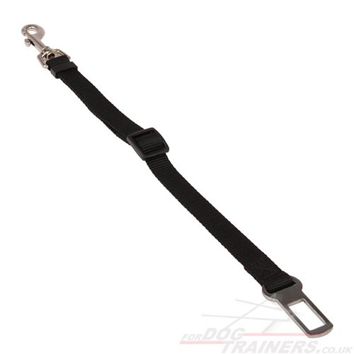 Car Dog Lead Seat Belt