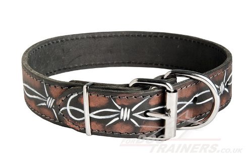 Hand Painted Leather Dog Collars