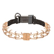 Curogan Collar with Click-Lock