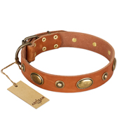 "Visual Magic" FDT Artisan Collars for Large Dogs "Visual Magic" FDT Artisan Collars for Large Dogs