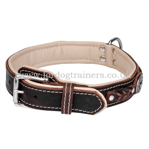 Luxury Dog Collar UK