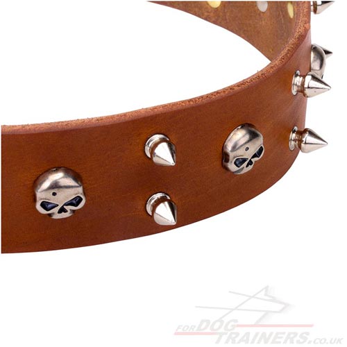 Designer Leather Dog Collar